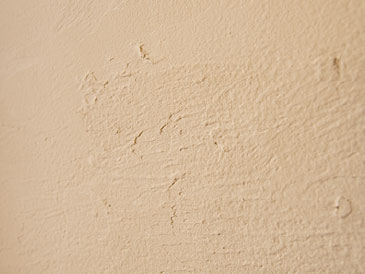 内装用壁材のいちばん人気は和紙から生まれた「レーベン」